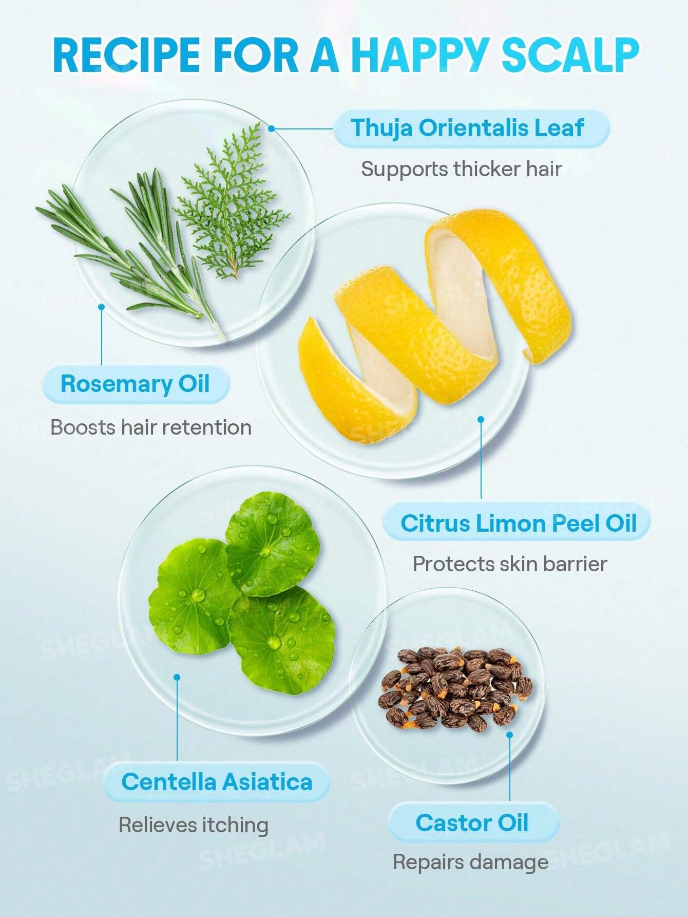 شيجلام Hair Ice Revive Scalp سيروم - الصورة 4
