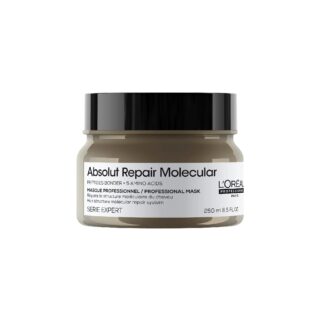 لوريال Professionnel Absolut Repair Molecular ماسك for Damaged Hair 250 مل