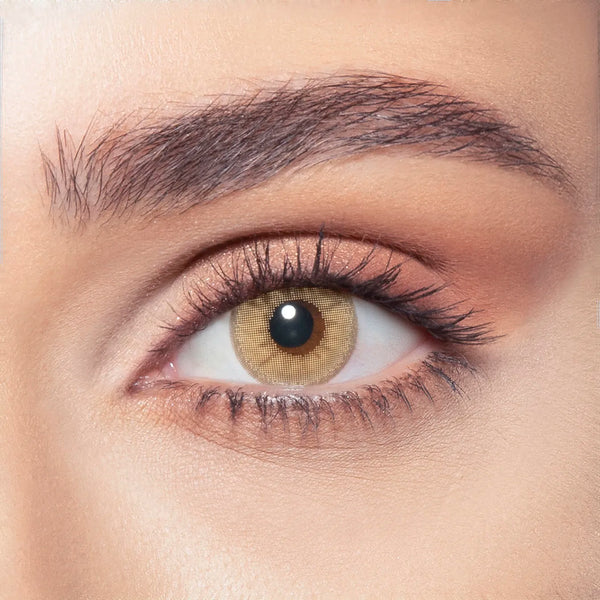 Bella One Day Color عدسات لاصقة