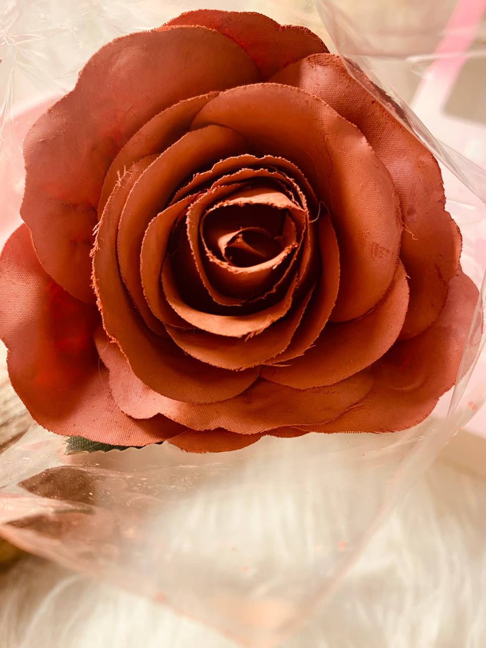 شيجلام وردي Ribbon Rose بلاشر - الصورة 9